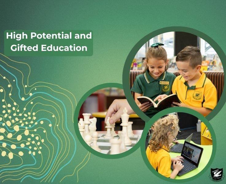 A collage of images engaged in learning activities.